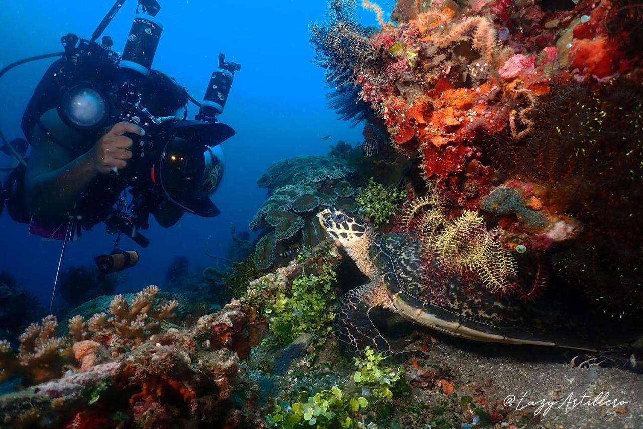 La Tortue Diving Resort Dauin Buitenkant foto