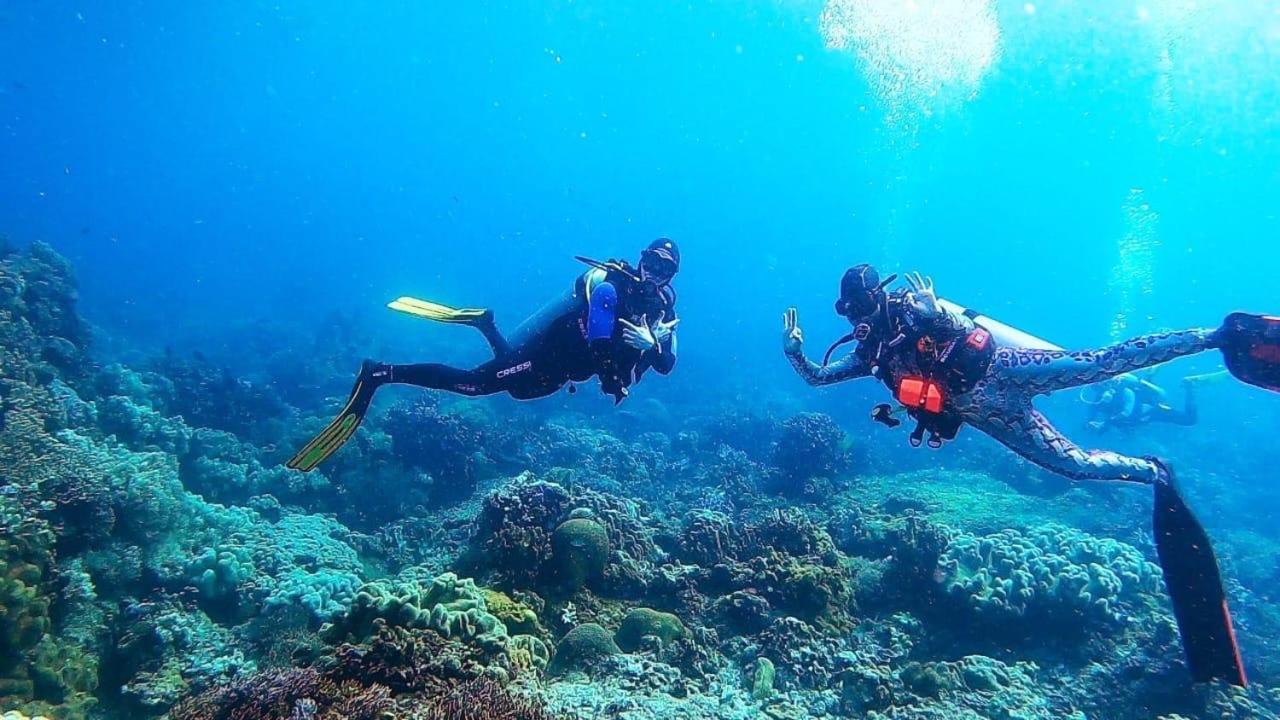 La Tortue Diving Resort Dauin Buitenkant foto