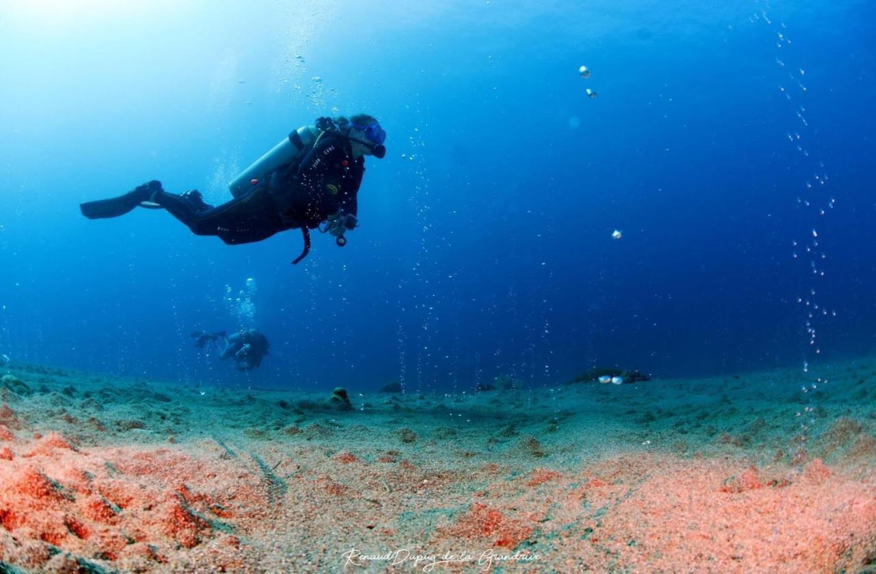 La Tortue Diving Resort Dauin Buitenkant foto