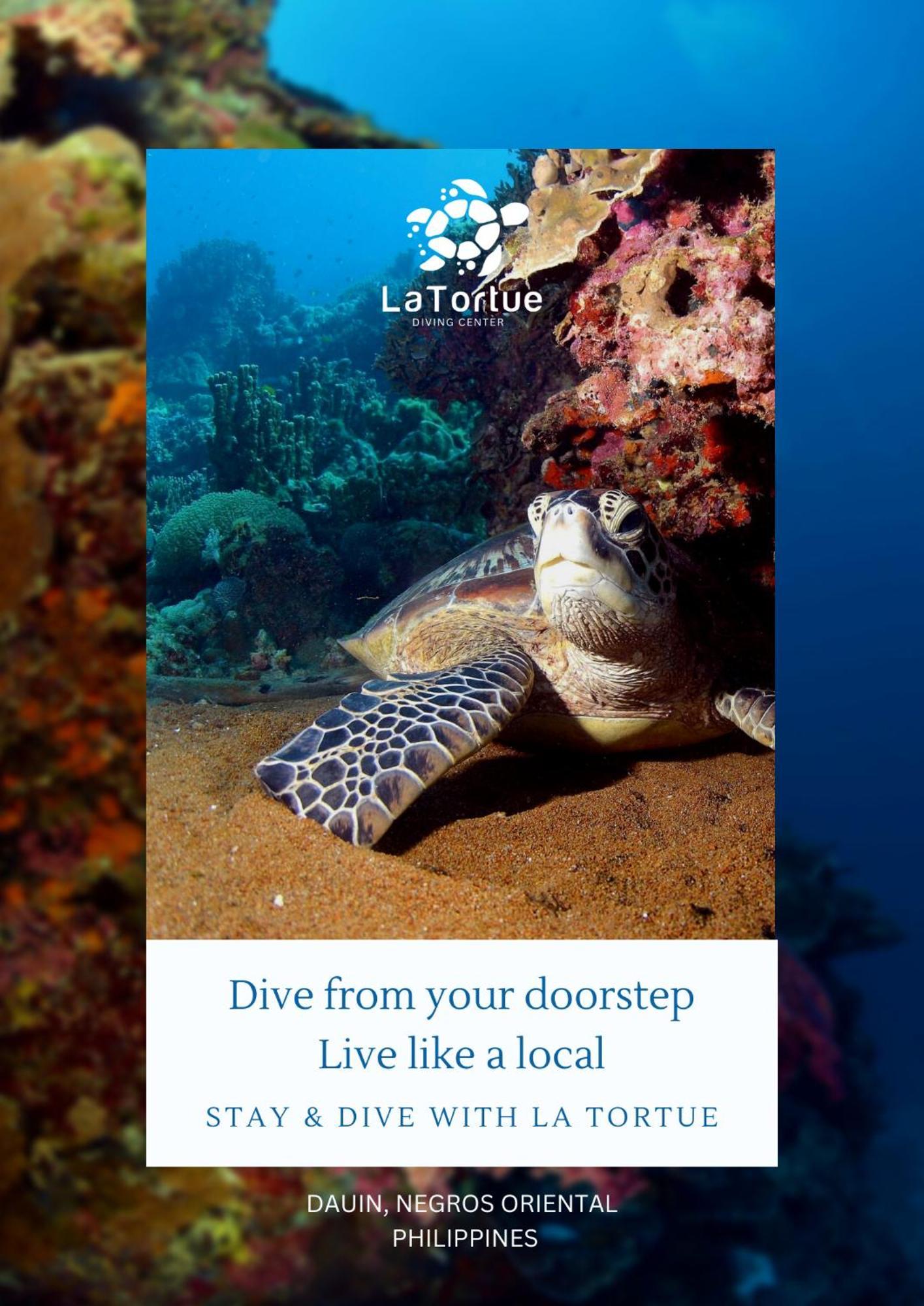 La Tortue Diving Resort Dauin Buitenkant foto